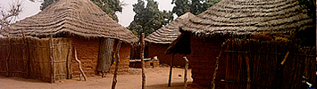 A Gambian compound